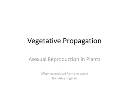 Vegetative Propagation