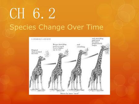 Species Change Over Time