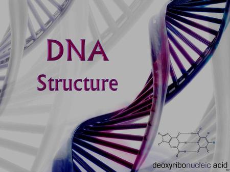 DNA Structure.