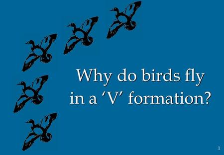 Why do birds fly in a ‘V’ formation?