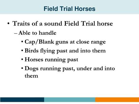 Traits of a sound Field Trial horse