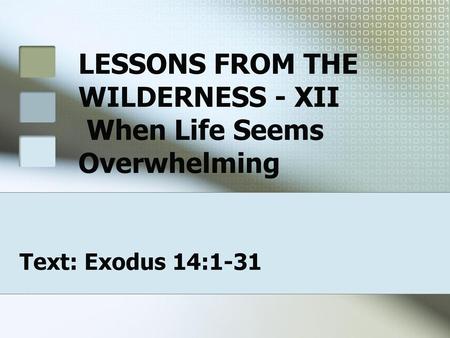 LESSONS FROM THE WILDERNESS - XII When Life Seems Overwhelming