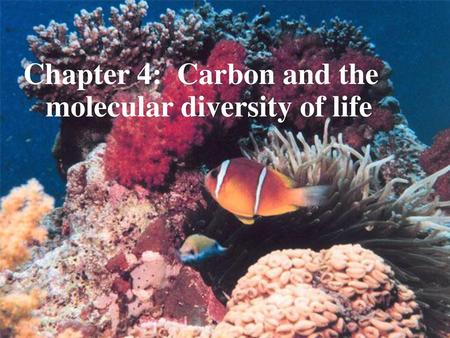 Chapter 4: Carbon and the molecular diversity of life