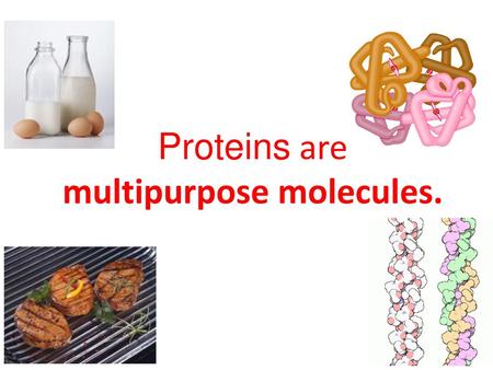 Proteins are multipurpose molecules.