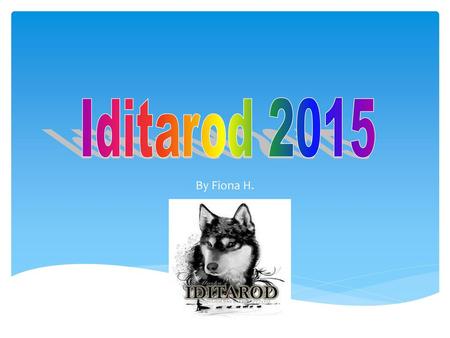 Iditarod 2015 By Fiona H..