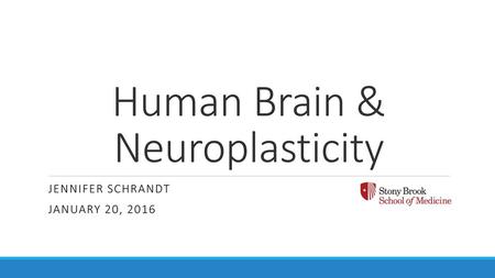 Human Brain & Neuroplasticity