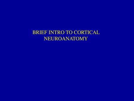 BRIEF INTRO TO CORTICAL NEUROANATOMY