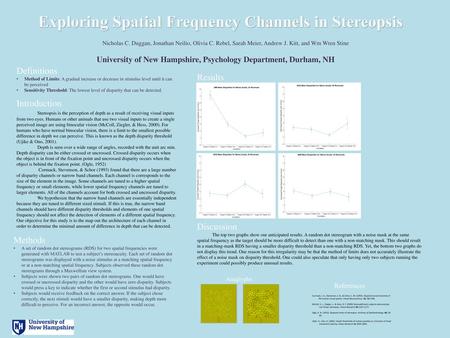 Exploring Spatial Frequency Channels in Stereopsis