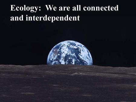 Ecology:  We are all connected and interdependent