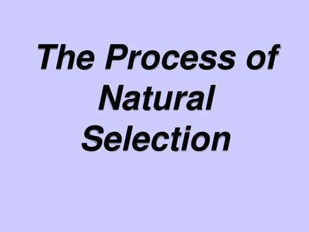 The Process of Natural Selection