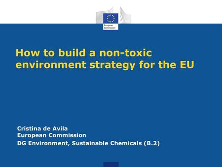 How to build a non-toxic environment strategy for the EU