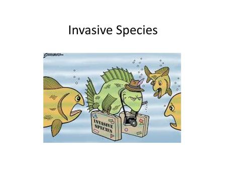 Invasive Species.