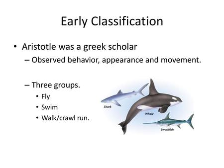 Early Classification Aristotle was a greek scholar