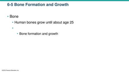 6-5 Bone Formation and Growth