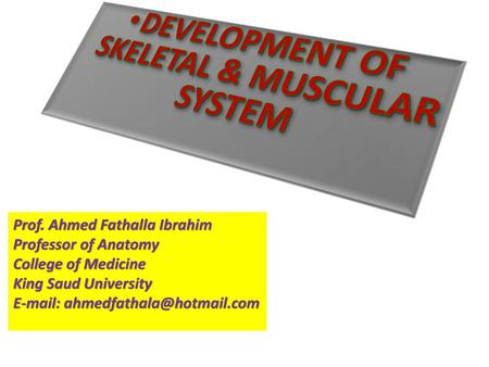 DEVELOPMENT OF SKELETAL & MUSCULAR SYSTEM