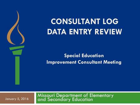 Consultant Log Data Entry Review