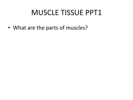 MUSCLE TISSUE PPT1 What are the parts of muscles?.