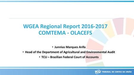 WGEA Regional Report COMTEMA - OLACEFS