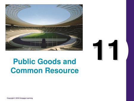 Public Goods and Common Resource