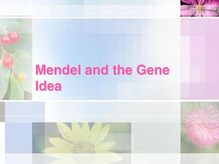 Mendel and the Gene Idea