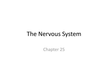 The Nervous System Chapter 25.