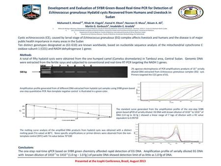 Development and Evaluation of SYBR Green-Based Real-time PCR for Detection of Echinococcus granulosus Hydatid cysts Recovered from Humans and Livestock.