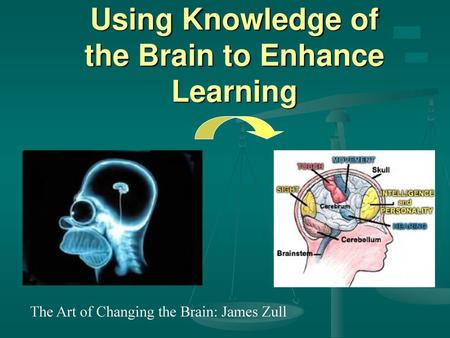 Using Knowledge of the Brain to Enhance Learning