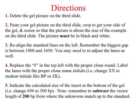 Directions 1. Delete the gel picture on the third slide. 2. Paste your gel picture on the third slide, crop to get your side of the gel, & resize so that.