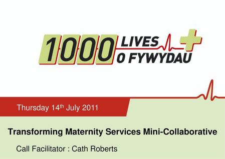 Transforming Maternity Services Mini-Collaborative