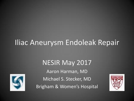 Iliac Aneurysm Endoleak Repair