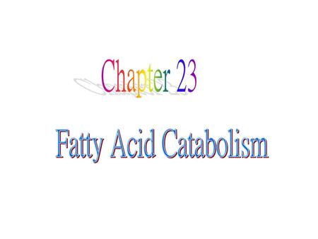 Chapter 23 Fatty Acid Catabolism.