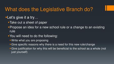 What does the Legislative Branch do?