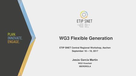 WG3 Flexible Generation