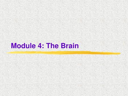 Module 4: The Brain.