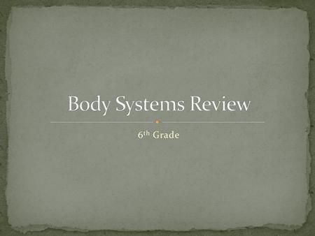 Body Systems Review 6th Grade.