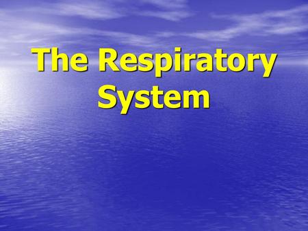 The Respiratory System