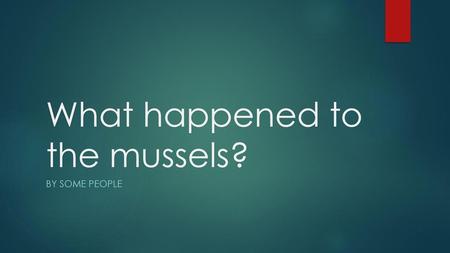 What happened to the mussels?