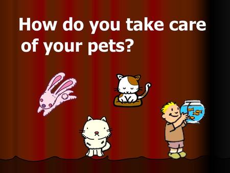 How do you take care of your pets?