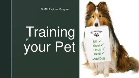 SHAH Explorer Program Training your Pet.