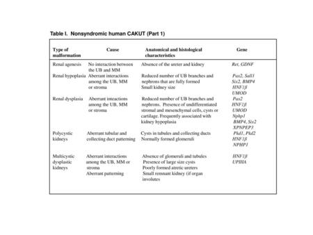 Table I. Nonsyndromic human CAKUT (Part 1)