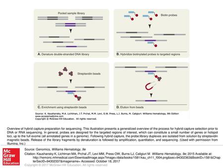 Overview of hybrid capture preparation for sequencing