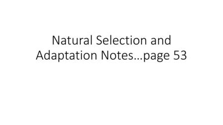 Natural Selection and Adaptation Notes…page 53