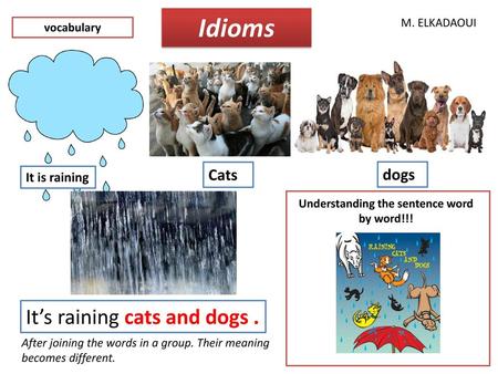 Understanding the sentence word by word!!!