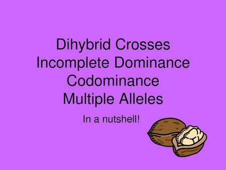 Dihybrid Crosses Incomplete Dominance Codominance Multiple Alleles