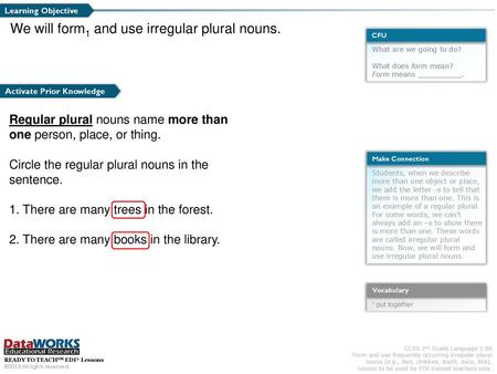 We will form1 and use irregular plural nouns.