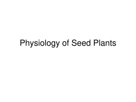 Physiology of Seed Plants