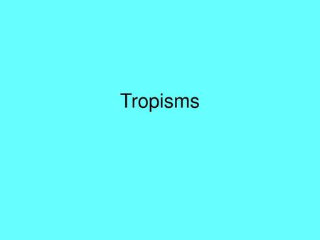 Tropisms.