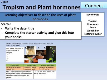 Learning objective: To describe the uses of plant hormones