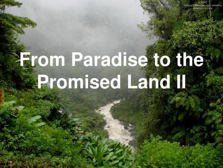 From Paradise to the Promised Land II