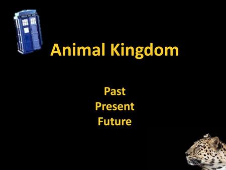 Animal Kingdom Past Present Future